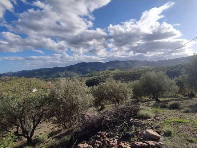 Terreno en venta en Riogordo