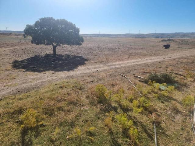 Terreno en venta en Riolobos, Extremadura