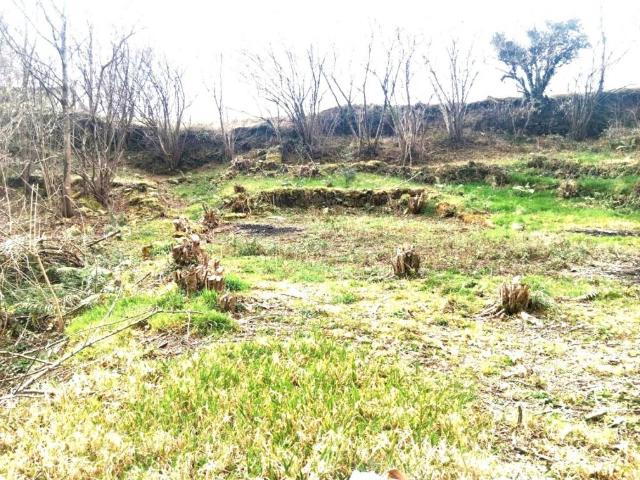 Terreno en venta en Rionansa, Cantabria