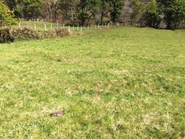 Terreno en venta en Rionansa, Cantabria