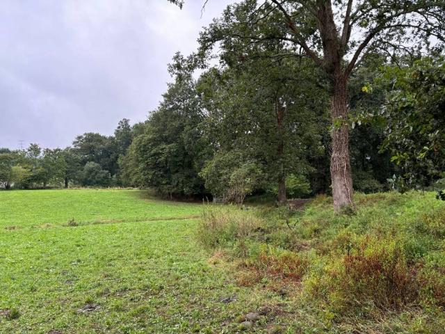 Terreno en venta en Barrio de Arriba, Riotuerto