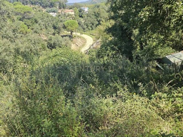 Terreno en venta en la Selva, Catalunya