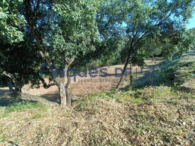 Terreno en venta en la Selva, Catalunya