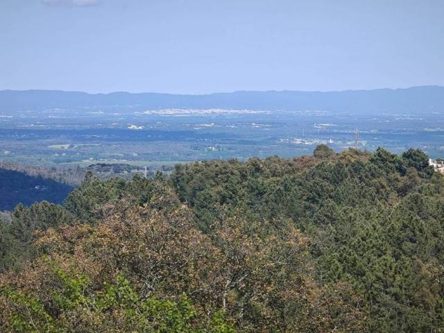 Terreno en venta en la Selva, Catalunya