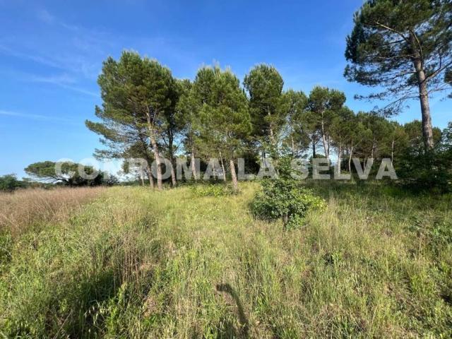 Terreno en venta en la Selva, Catalunya