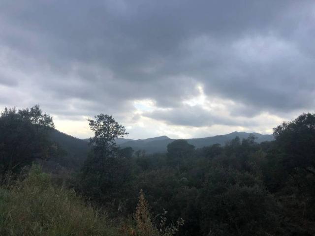 Terreno en venta en la Selva, Catalunya