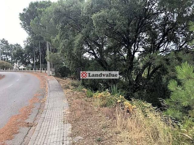 Terreno en venta en la Selva, Catalunya