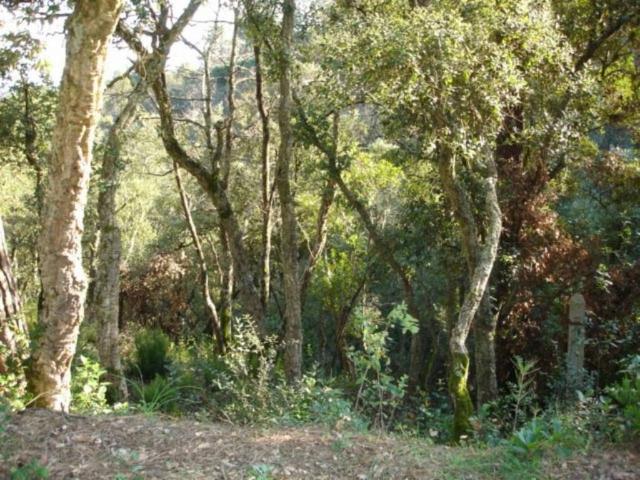 Terreno en venta en la Selva, Catalunya