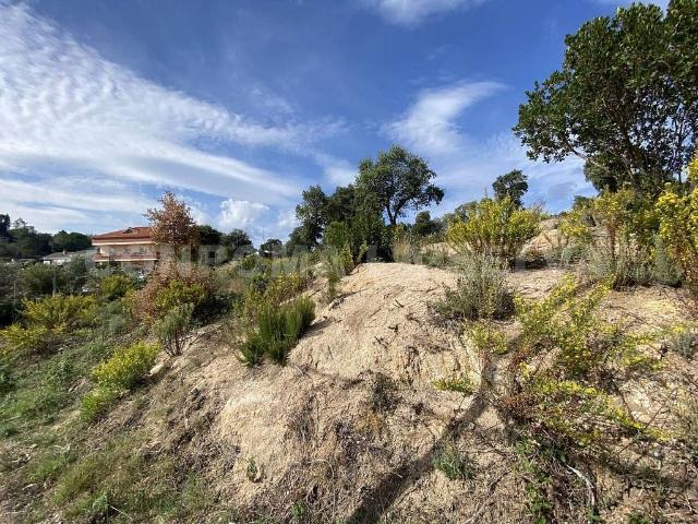 Terreno en venta en Riudarenes