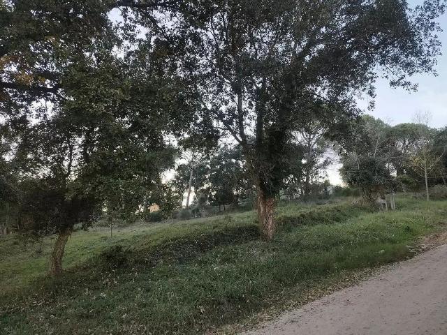 Terreno en venta en la Selva, Catalunya