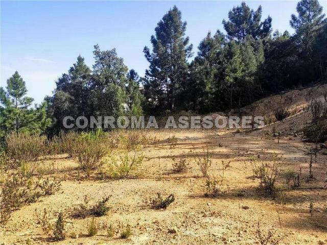 Terreno en venta en Riudarenes