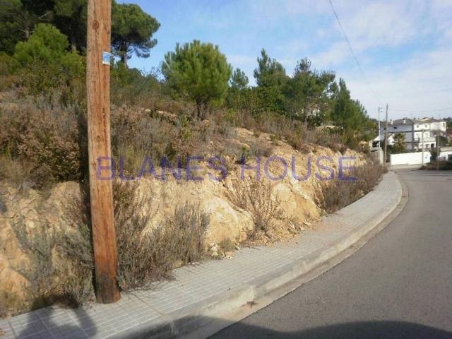 Terreno en venta en Riudarenes