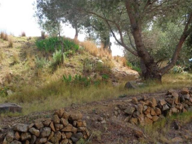Terreno en venta en Baix Camp, Catalunya