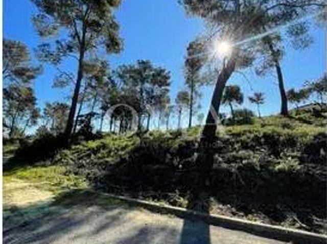 Terreno en venta en Riudecanyes, Tarragona