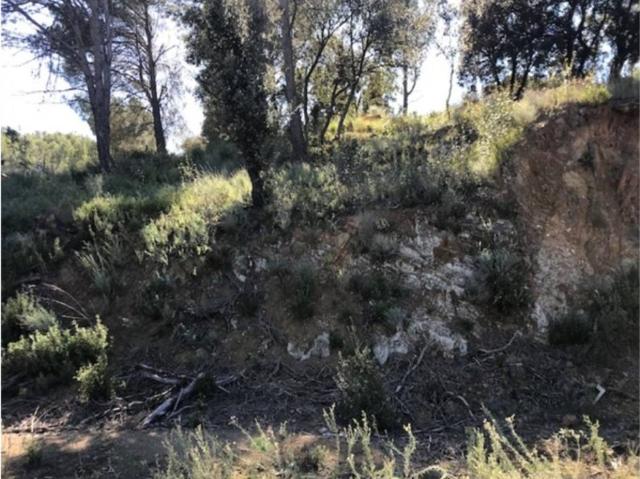 Terreno en venta en Baix Camp, Catalunya