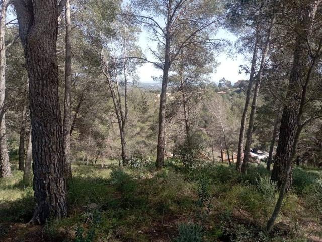 Terreno en venta en Baix Camp, Catalunya