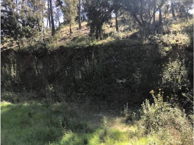 Terreno en venta en Baix Camp, Catalunya