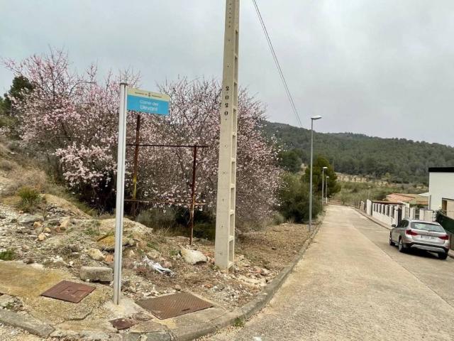 Terreno en venta en Baix Camp, Catalunya
