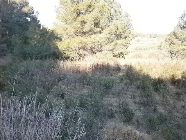 Terreno en venta en Baix Camp, Catalunya