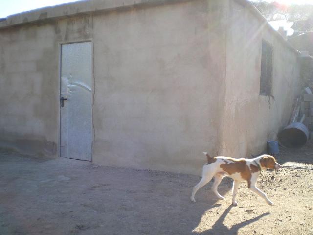 Terreno en venta en Baix Camp, Catalunya