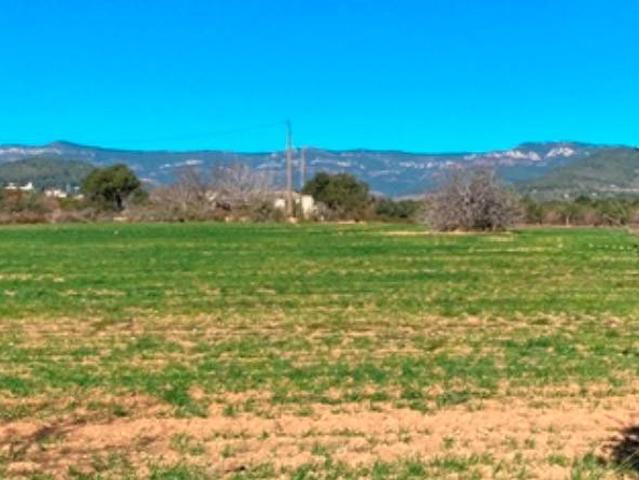 Terreno en venta en Baix Camp, Catalunya