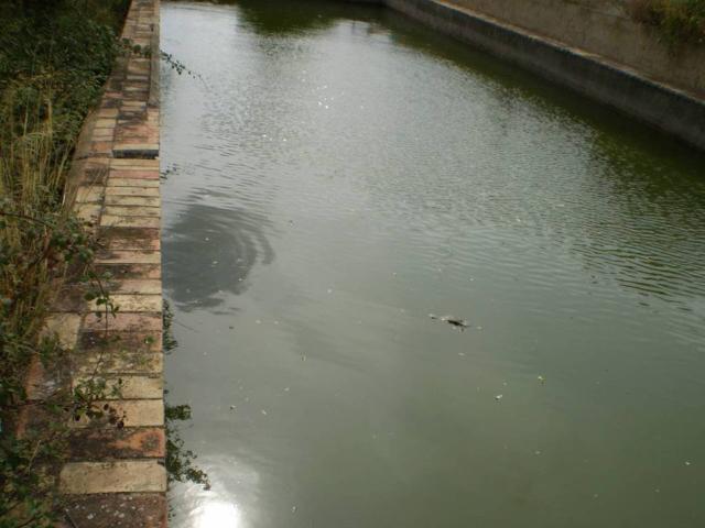 Terreno en venta en Baix Camp, Catalunya