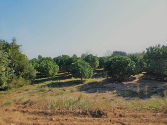 Terreno en venta en Riudoms