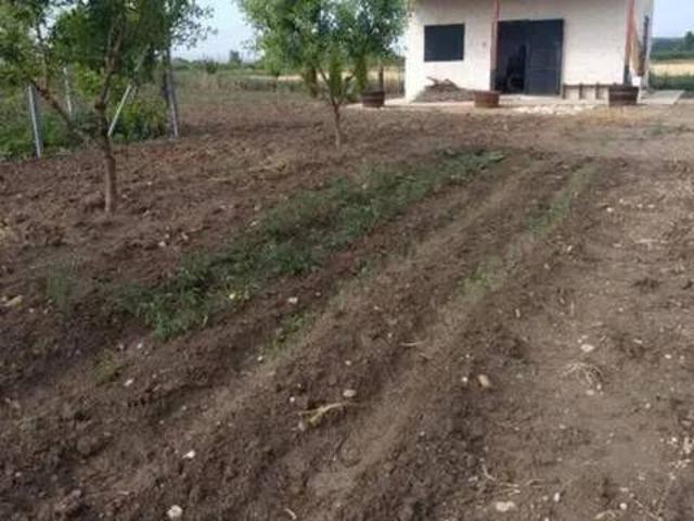 Terreno en venta en Roa, Castilla y León