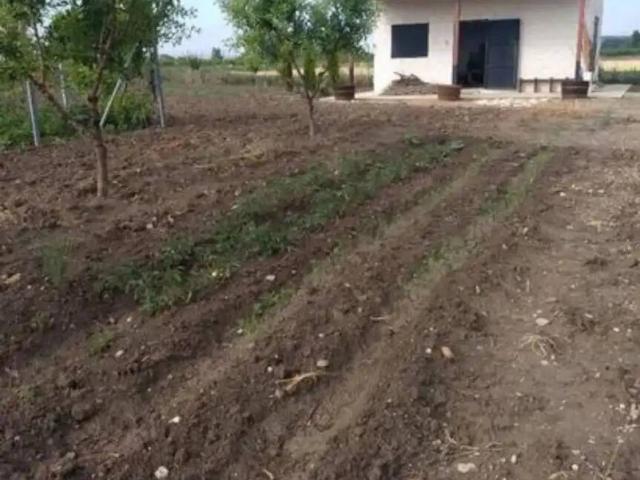Terreno en venta en Roa, Burgos
