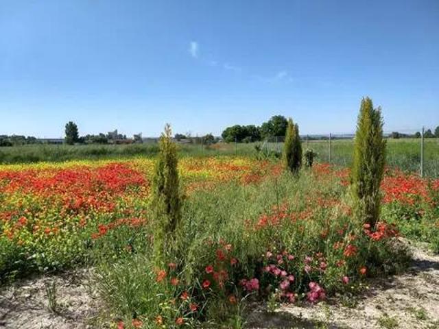Terreno en venta en Roa, Castilla y León