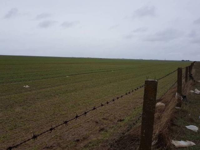 Terreno en venta en Robleda-cervantes, Castilla y León