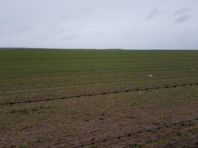 Terreno en venta en Robleda-cervantes, Castilla y León