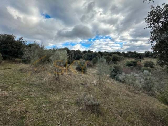 Terreno en venta en Robledo De Chavela, Madrid