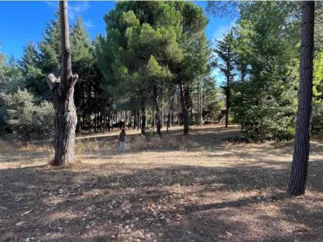 Terreno en venta en Robledo De Chavela, Madrid