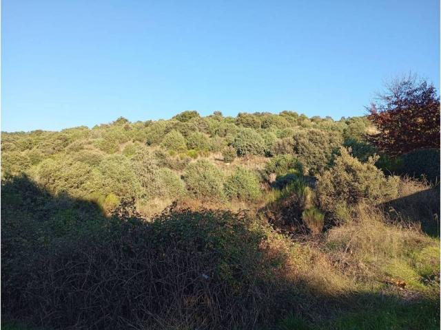 Terreno en venta en Robledo De Chavela, Madrid