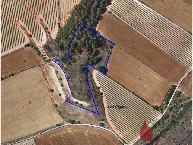 Terreno en venta en Conca de Barberà, Catalunya