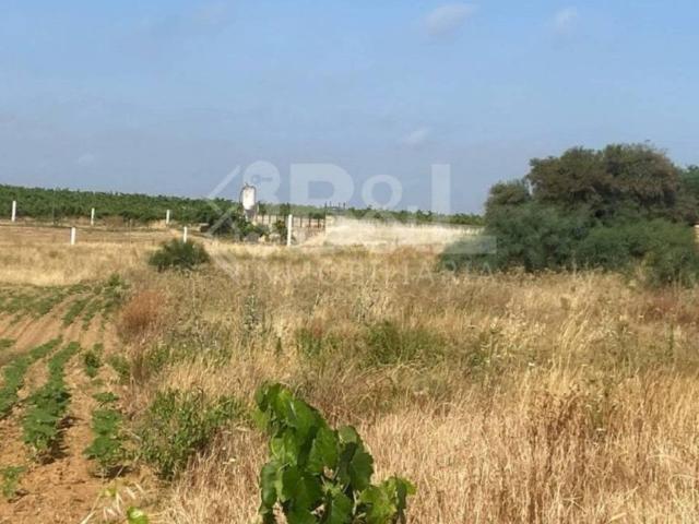 Terreno en venta en El Condado, Andalucía