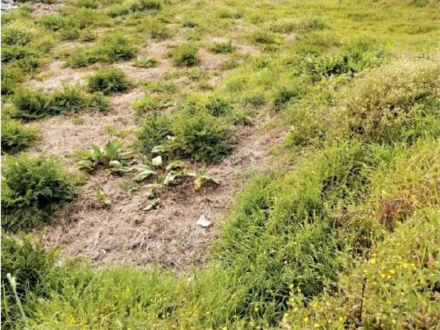 Terreno en venta en O Deza, Galicia