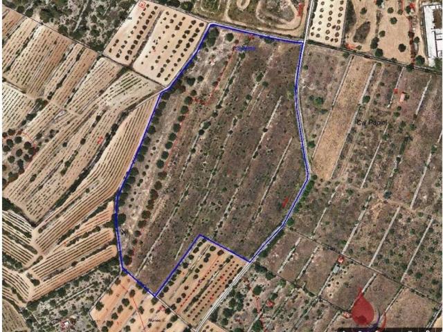 Terreno en venta en Alt Camp, Catalunya
