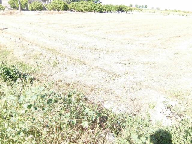 Terreno en venta en Rojales