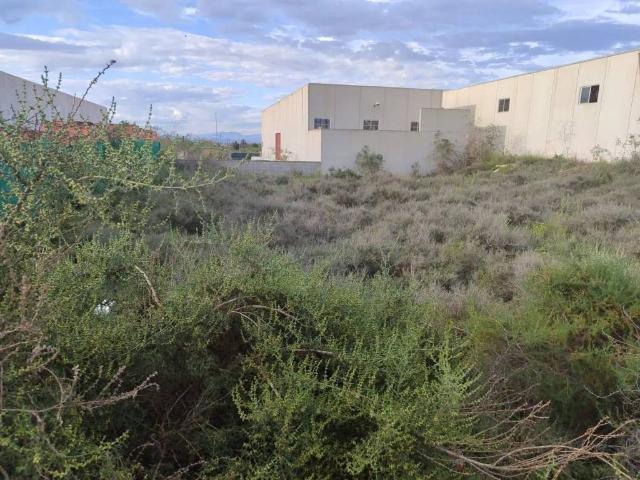 Terreno en venta en Rojales