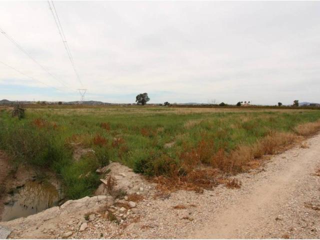Terreno en venta en el Baix Segura / La Vega Baja, Valencia