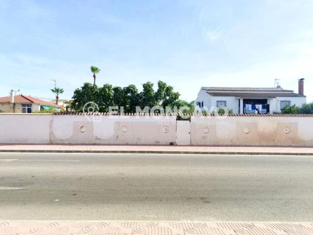 Terreno en venta en el Baix Segura / La Vega Baja, Valencia