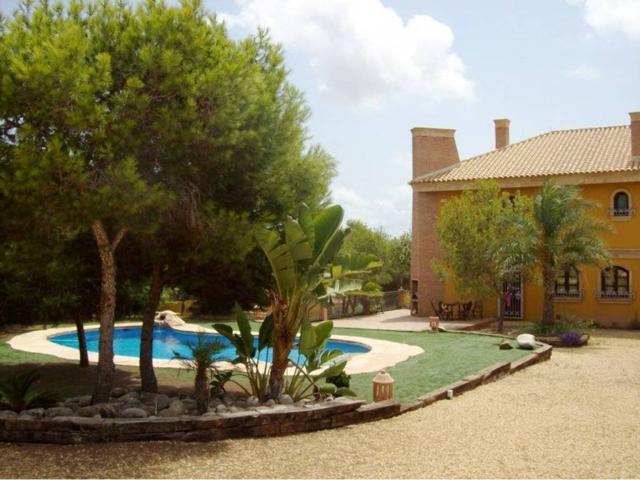 Terreno en venta en el Baix Segura / La Vega Baja, Valencia