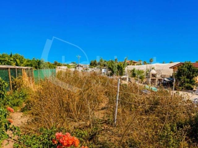 Terreno en venta en el Baix Segura / La Vega Baja, Valencia