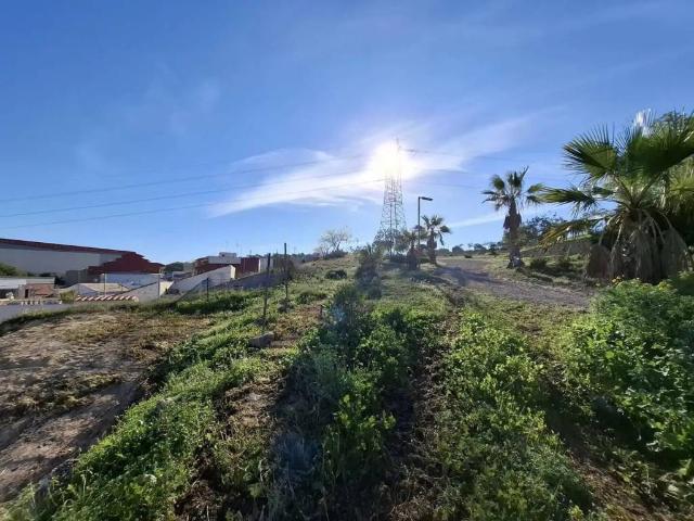 Terreno en venta en Rojales, Alacant / Alicante