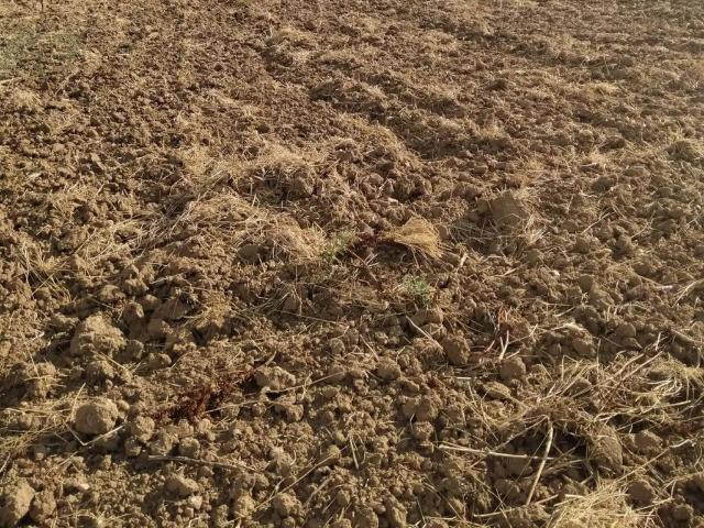 Terreno en venta en Rollán, Castilla y León