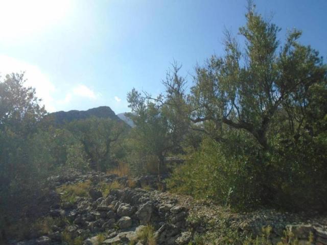 Terreno en venta en Baix Ebre, Catalunya
