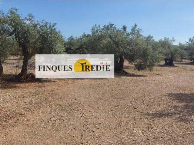 Terreno en venta en Baix Ebre, Catalunya