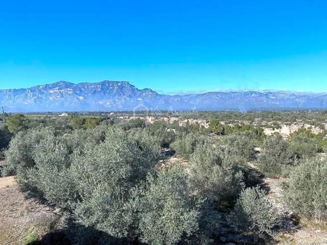 Terreno en venta en Baix Ebre, Catalunya